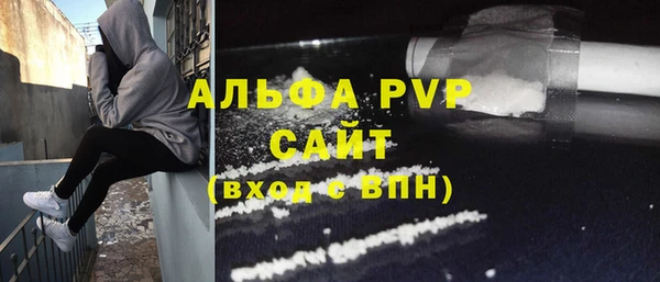 прущие грибы Абаза