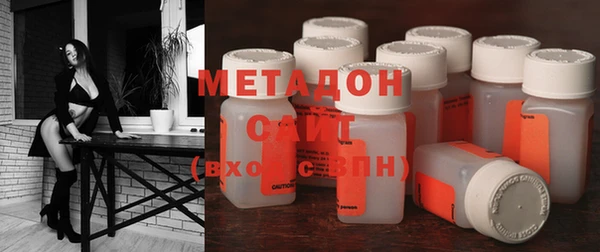 прущие грибы Абаза