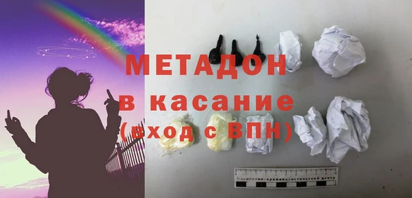 прущие грибы Абаза