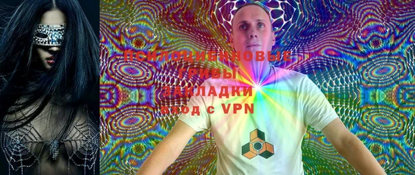 прущие грибы Абаза