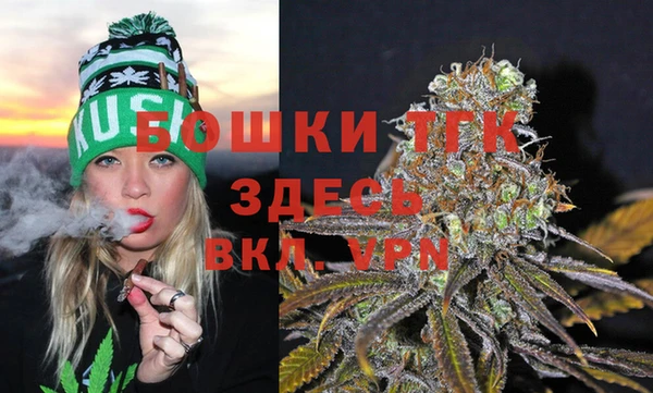 прущие грибы Абаза
