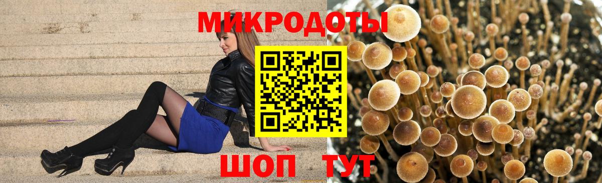 Галлюциногенные грибы ЛСД  Псилоцибиновые грибы ЛСД  Димитровград  Вход с VPN 