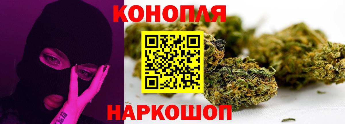 Марихуана ГИДРОПОН  Каннабис OG Kush  Вход с VPN  Канабис планчик  Канабис MAZAR  Димитровград 